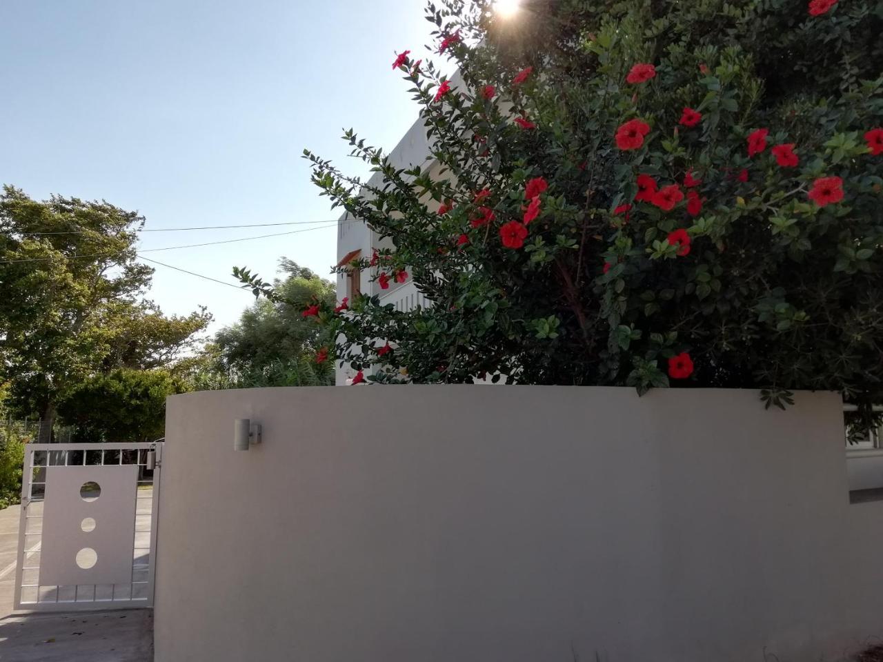 Dimitris' & Valentina'S Home Plakias Bagian luar foto