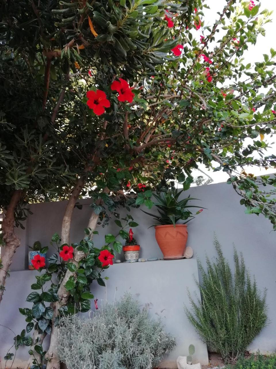 Dimitris' & Valentina'S Home Plakias Bagian luar foto